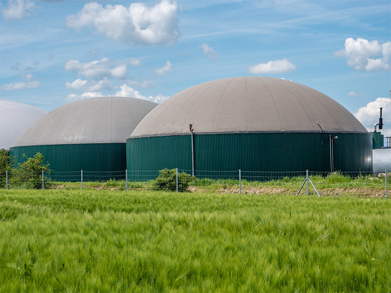 biogas anaerobic digester system