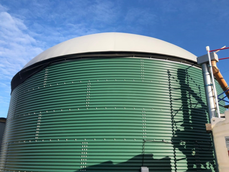 anaerobic digestion