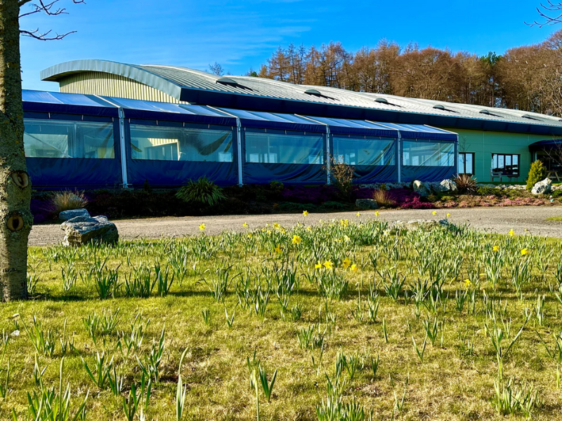 Threaplands Garden Centre Marquee