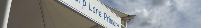 Sharp Lane primary