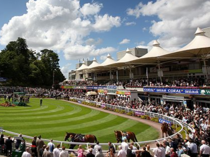 Sandown Park Racecourse